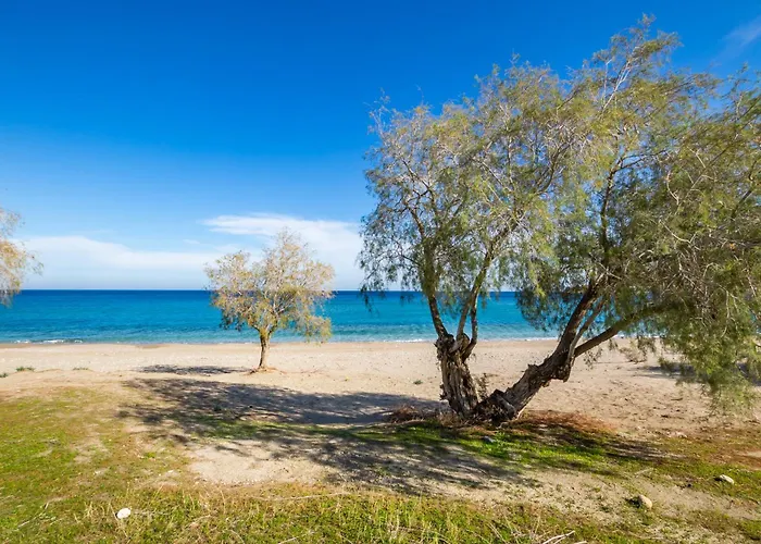 Hotel apartamentowy Sun 3*